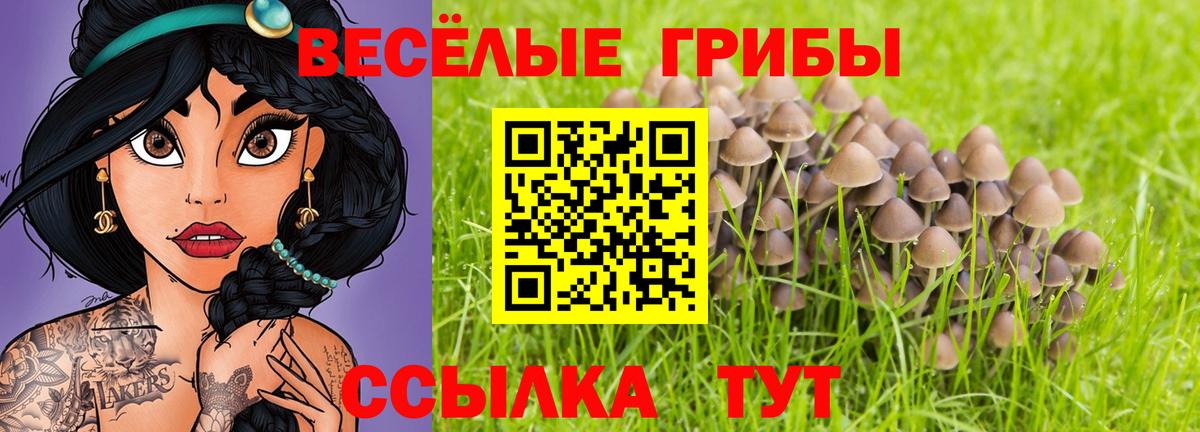 Галлюциногенные грибы Magic Shrooms  Вход с VPN  Светлоград  Псилоцибиновые грибы мицелий 