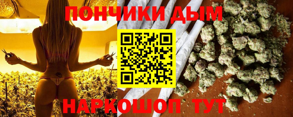 Канабис гибрид Светлоград
